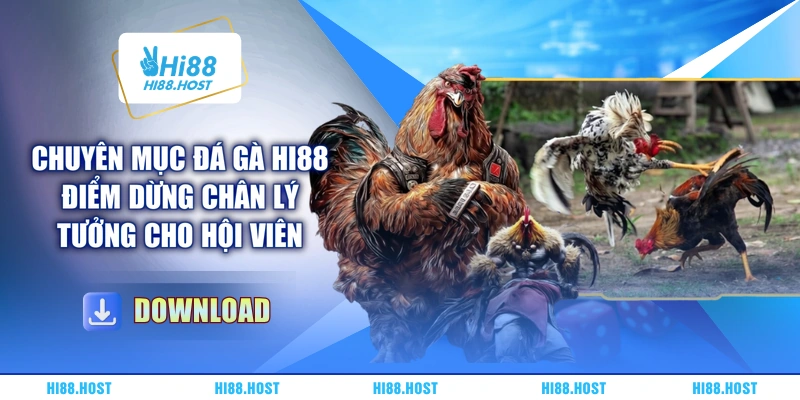 Chuyên mục đá gà HI88 điểm dừng chân lý tưởng cho hội viên Chuyên mục đá gà HI88 điểm dừng chân lý tưởng cho hội viên